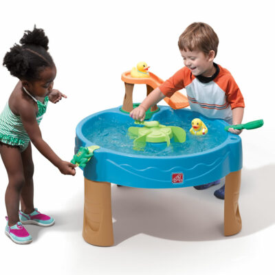 Duck Pond Water Table
